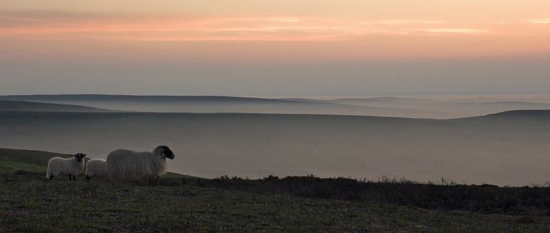 North York moors