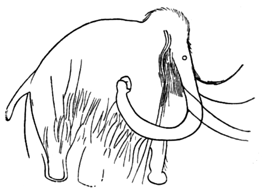 Combarles mammoth