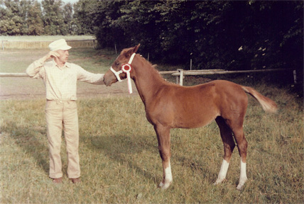 askov with colt