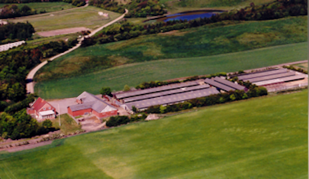 Hedegaard mink farm