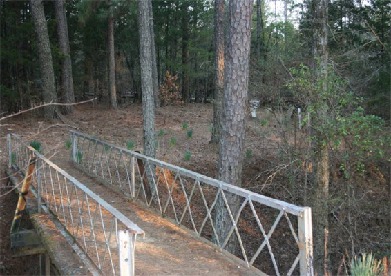 Long Cane Bridge