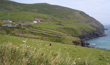 Dingle Peninsula