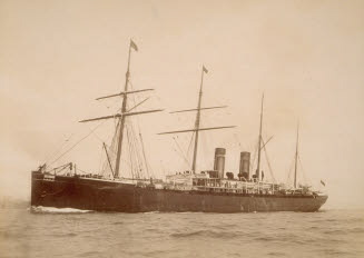 ss arizona button